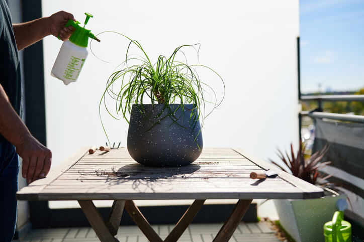 Passende Düngergaben