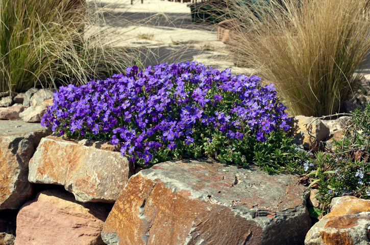 Beschnitt - Schritt-für-Schritt-Anleitung