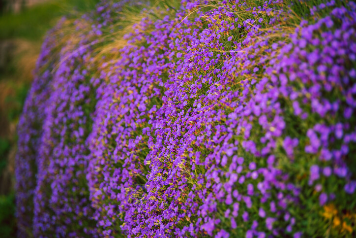 Der ideale Zeitpunkt