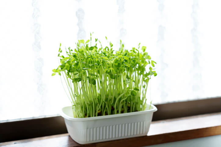 Ideale Pflegemaßnahmen