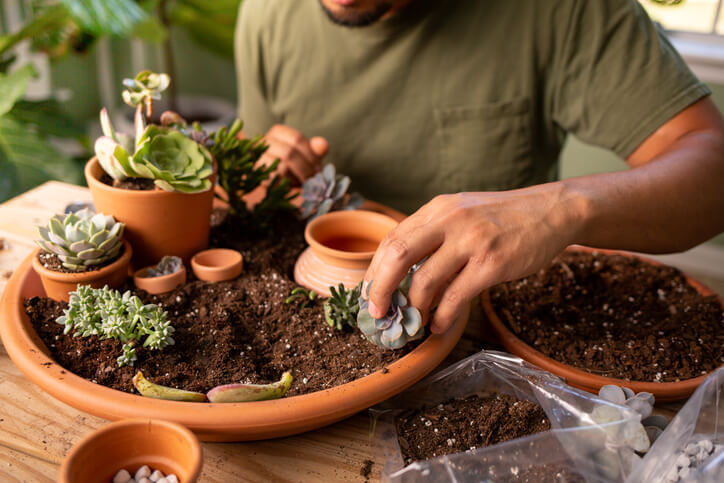 Pflanzgefäß und Substrat