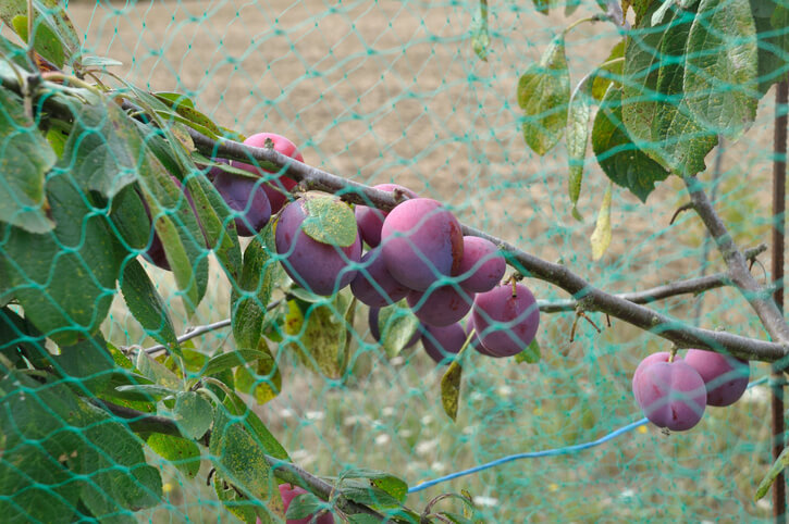 Vorbereitende Arbeiten