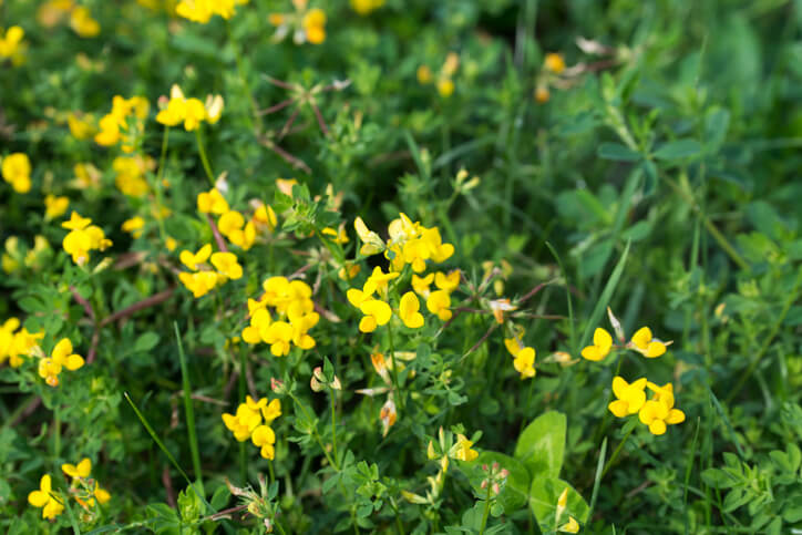 Vorbeugende Maßnahmen