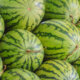 Wassermelonen - ein Überblick der Sorten