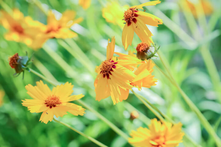 Zeitpunkt des Beschnitts