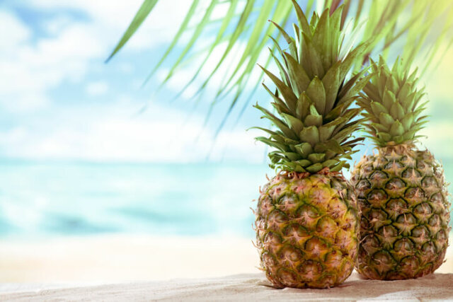 Ananas - Wissenswertes über die Herkunft