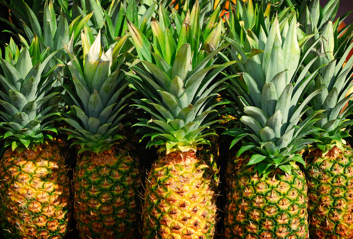 Entstehung der Ananas