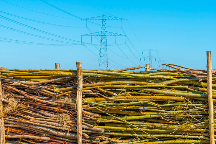 Schritt-für-Schritt Anleitung für den Bau einer Benjeshecke
