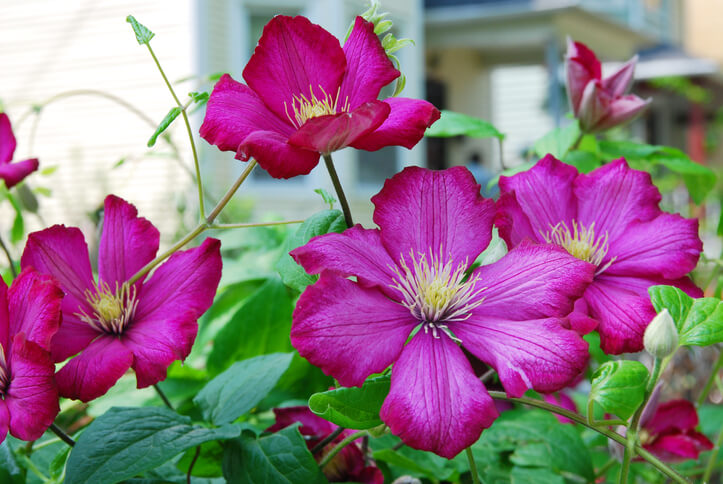 Schutzmaßnahmen im Winter