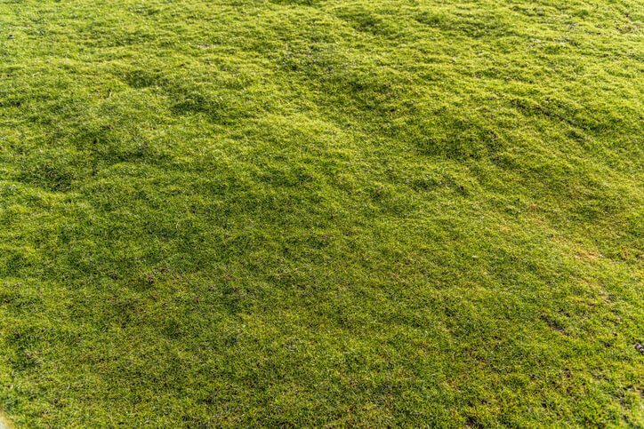 Verschiedene Arten von Unebenheiten