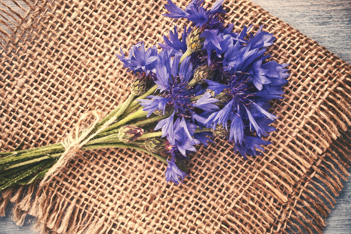 Weitere Trocknungsmethoden