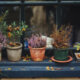 Balkonkästen - welche Pflanzen eignen sich als Herbstbepflanzung