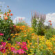 Blumen im Garten - kreative Ideen für Frühling & Sommer