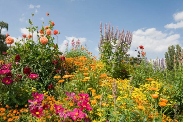 Blumen im Garten - kreative Ideen für Frühling & Sommer