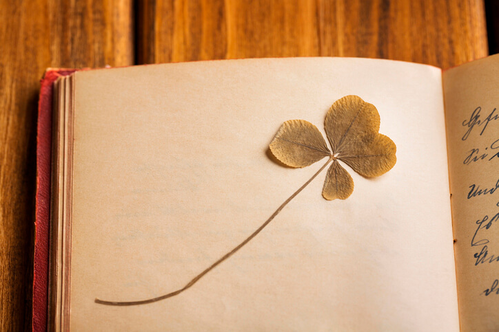 Trocknen und Pressen