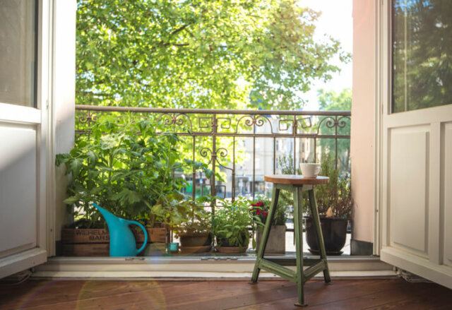 Balkonpflanzen - Wissenswertes zur Pflege