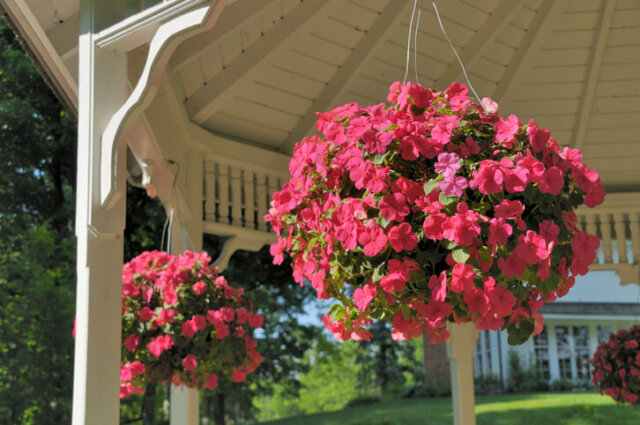 Blumenampeln - kreative Bepflanzungs-Ideen