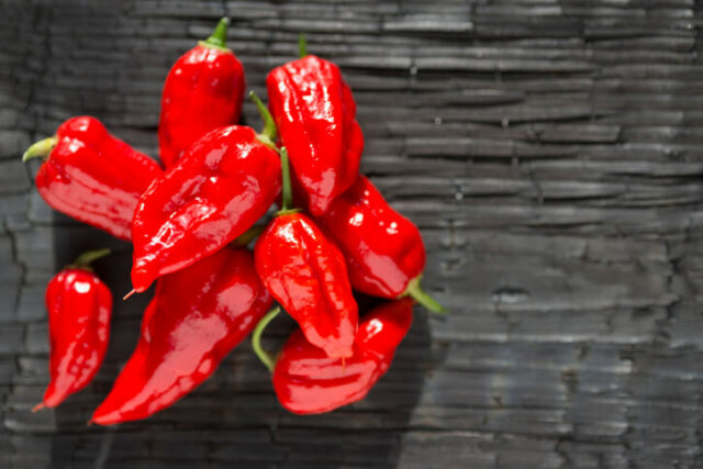 Habanero - leckere und kreative Verwendungsideen