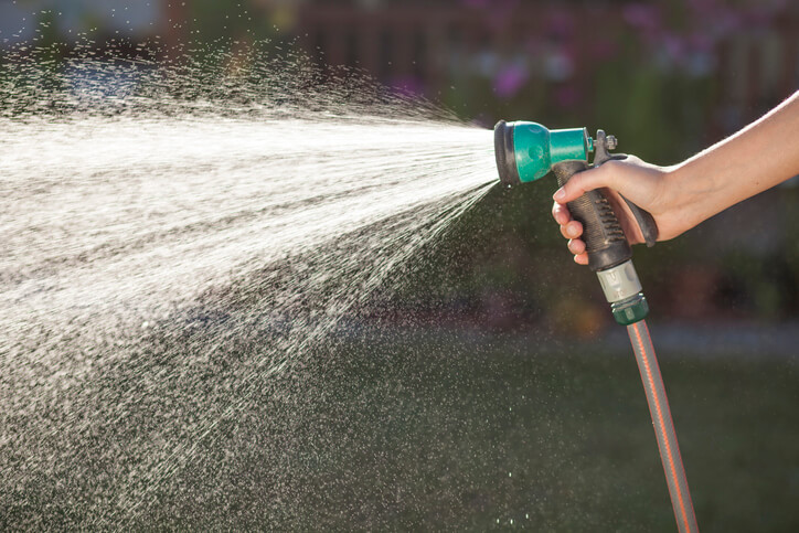 Ideale Wassermenge