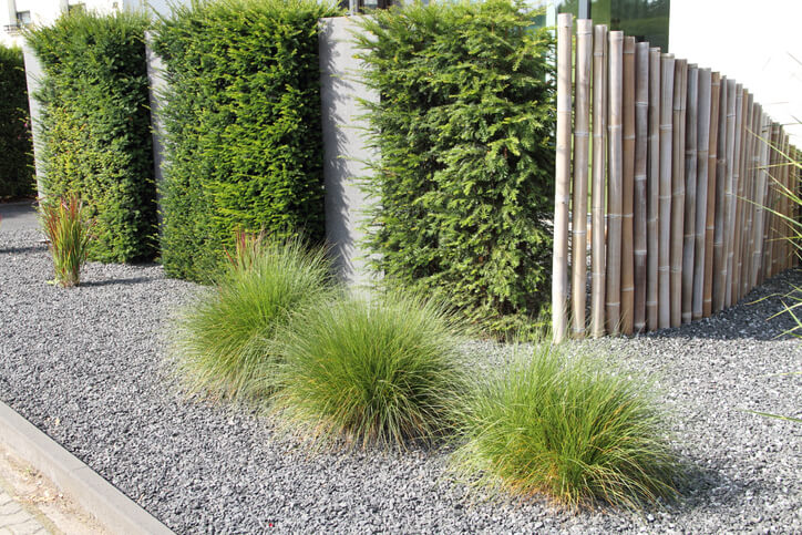 Immergrüne Pflanzen und farbige Akzente