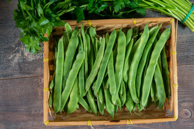 Stangenbohnen - Wissenswertes zur Ernte und Verarbeitung