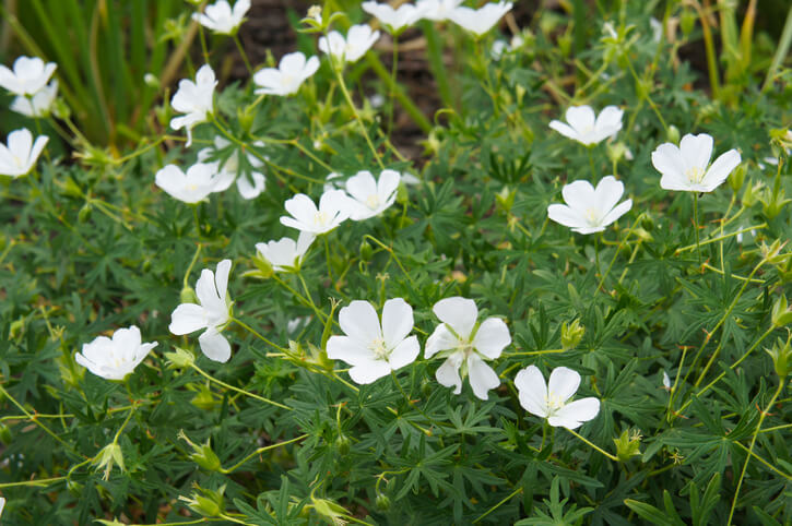 Unpassende Standorte