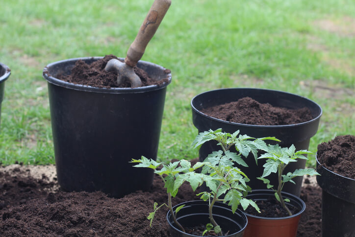 Unterschiede angebotener Produkte