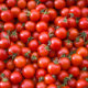 Tomaten - kinderleichte Vermehrung