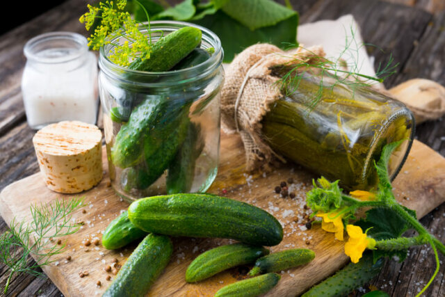 Dill-Gurken - leckere Rezepte für das Einlegen