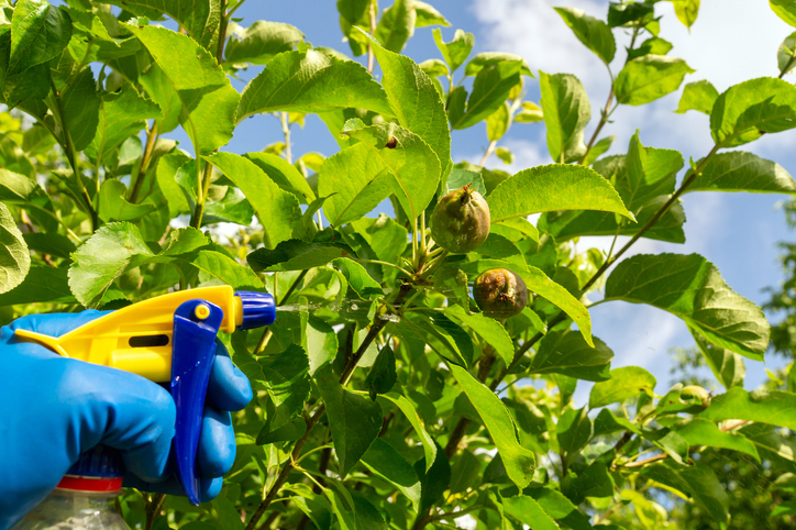 Handelsübliche Spritzmittel