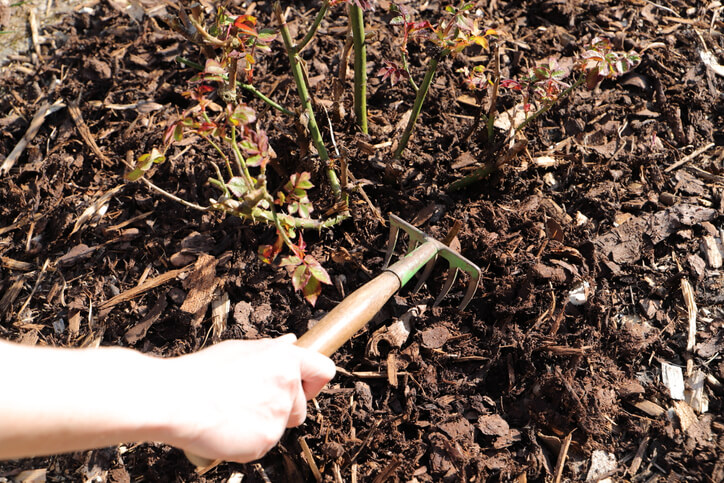 Rindenmulch und Eichenlaub