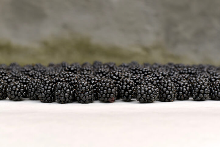 Trocknen von Brombeeren