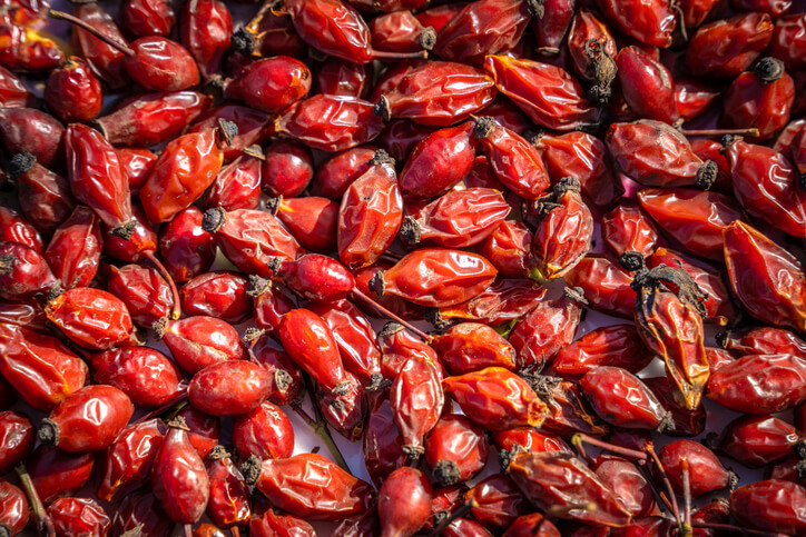 Verwertung von Hagebutten