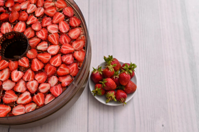 Erdbeeren - wie trocknet man die Früchte?