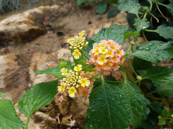 Wasserversorgung