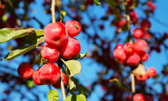 Die Kunst, einen fesselnden Roman zu schreiben